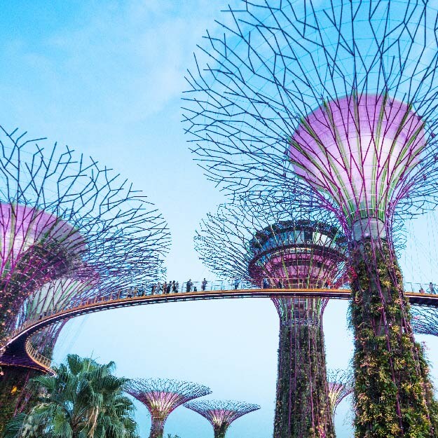 Accelerating Sustainability Through Collaboration Temasek